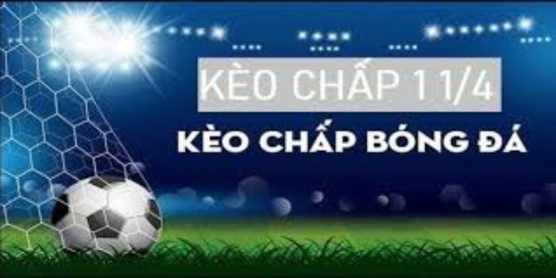 Kèo chấp 1 1/4 DA88 là gì?